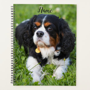 Agenda Cavalier de tres colores King Charles Spaniel Perr