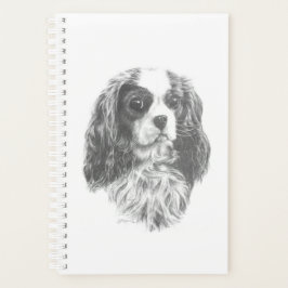 Agenda Cavalier King Charles Spaniel