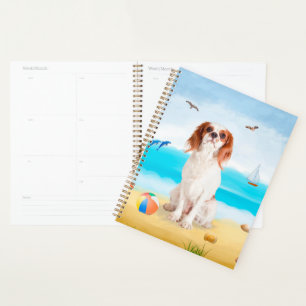 Agenda Cavalier King Dog en la playa