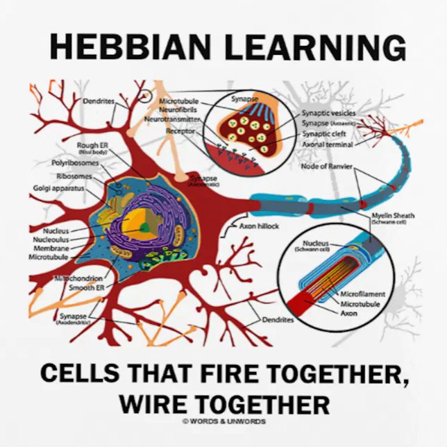 Agenda Células de aprendizaje hebbianas se rompen juntas (Showcase your neuropsychological Hebbian learner side with this planner featuring a neuron/synapse)