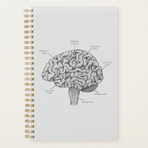 Agenda Cerebro Científico