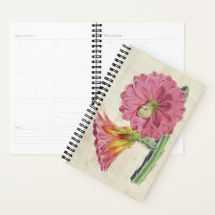 Agenda Cereus de Claud's