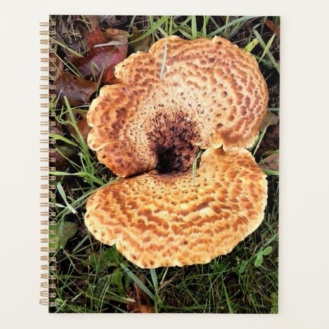 Agenda champiñones en el bosque (Anverso)