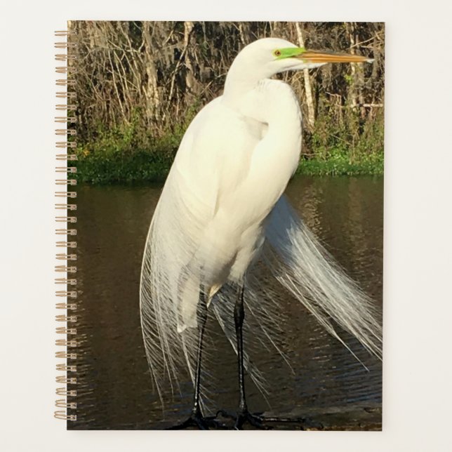 Agenda Charlie (Anverso)