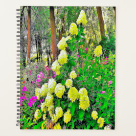 Agenda Chartreuse Green Limelight Hydrangea Garden