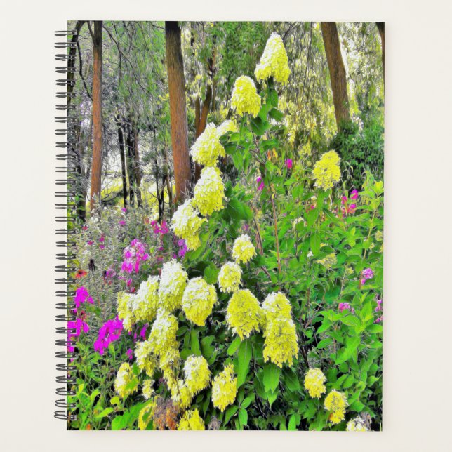 Agenda Chartreuse Green Limelight Hydrangea Garden (Anverso)