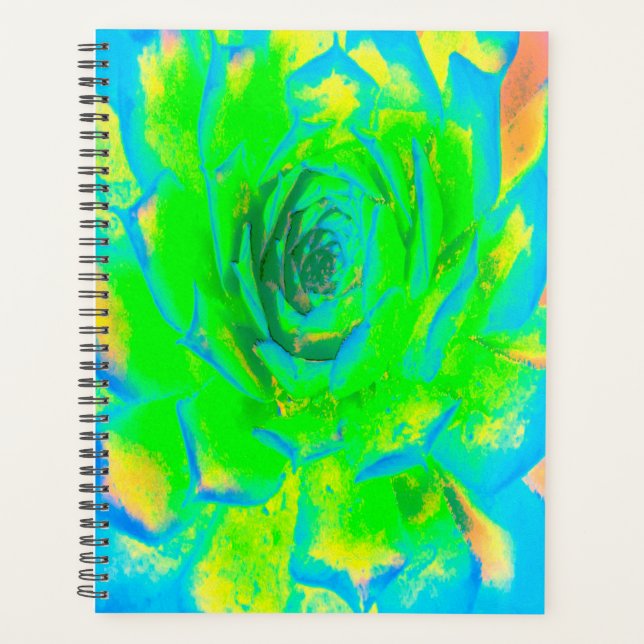 Agenda Chartreuse Verde Lime Suculento Sedum Rosette (Anverso)