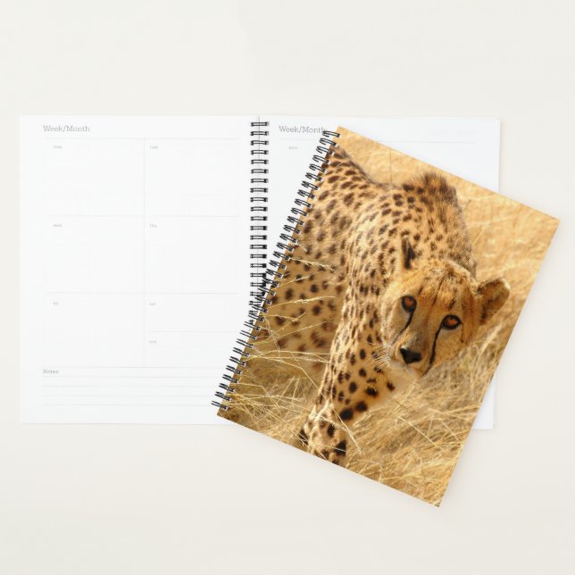 Agenda Cheetah (Demostración)