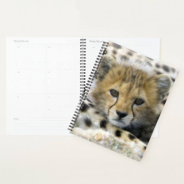 Agenda Cheetah Cub (Demostración)