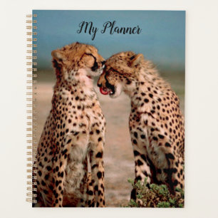Agenda Cheetahs