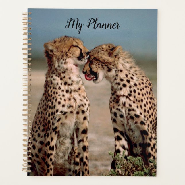 Agenda Cheetahs (Anverso)