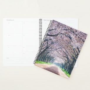 Agenda Cherry Blossom Lane