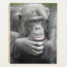 Agenda Chimpancé Contemplante