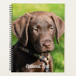 Agenda Chocolate Lab Cachorro