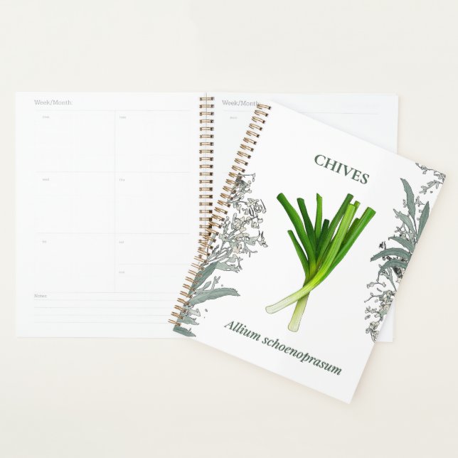 Agenda Ciboulette — Allium schoenoprasum (Demostración)