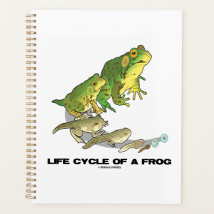 Agenda Ciclo De Vida De Una Rana De Huevo A Tadpole A Ran