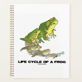 Agenda Ciclo De Vida De Una Rana De Huevo A Tadpole A Ran
