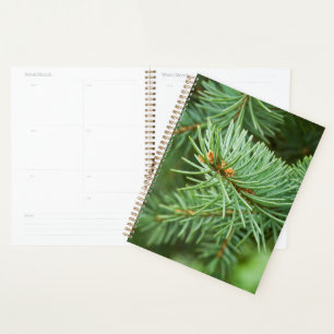 Agenda Cierre de árbol de pino