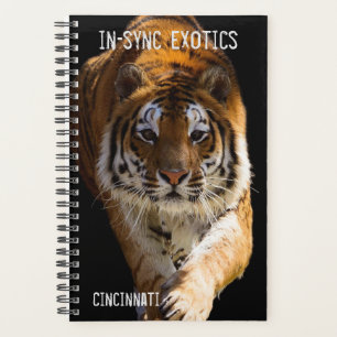 Agenda Cincinnati Tiger