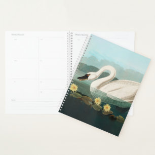 Agenda cisnes de agua blanca de cisne audubon