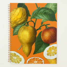 AGENDA CITRUS FRUIT NOTEBOOK