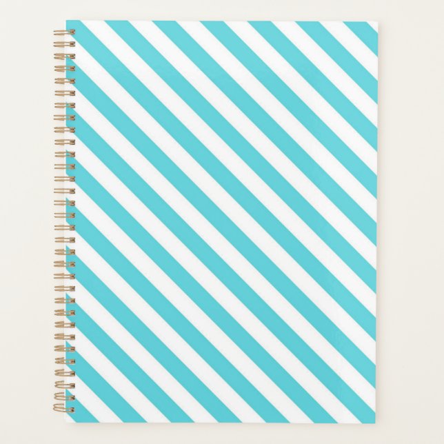 Agenda Classic blue and white diagonal stripes (Anverso)