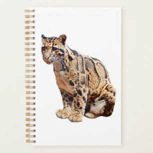 Agenda clouded leopard photograph jungle big cat animal