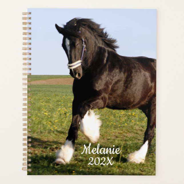Agenda Clydesdale Horse    (Anverso)