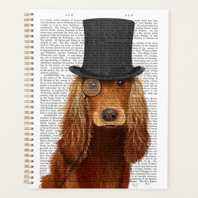Agenda Cocker Spaniel, Hound formal y Gorra (Anverso)