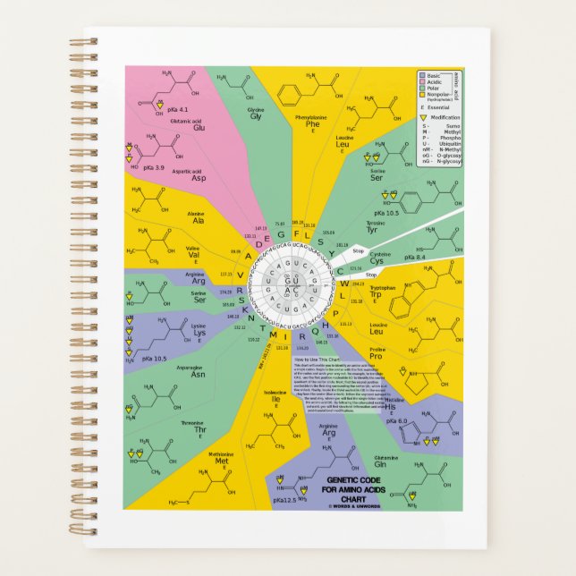 Agenda Código Genético Para La Rueda De La Gráfica De Áci (Anverso)