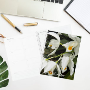 Agenda Coelogyne Mooreana Orquid Blooms Floral