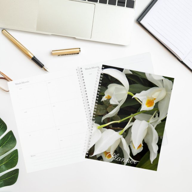Agenda Coelogyne Mooreana Orquid Blooms Floral (Subido por el creador)