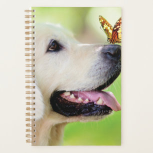 Agenda Cojín decorativo De Labrador Y Mariposa