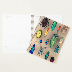 Agenda Colección de escarabajos