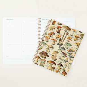 Agenda Colección de hongos