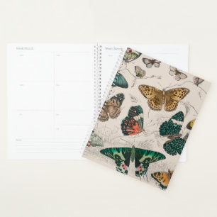 Agenda Colección de mariposa Mariposas antiguas