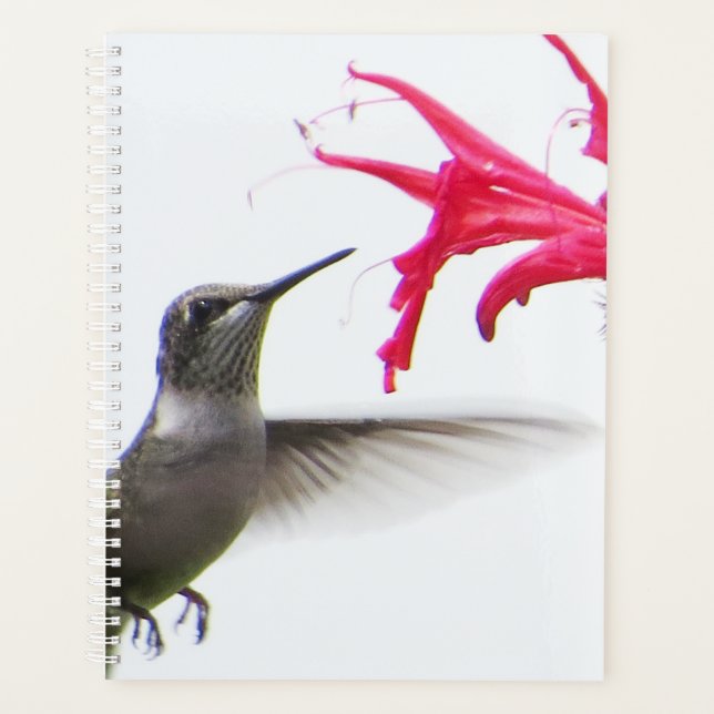 Agenda Colibrí en Monarda (Anverso)