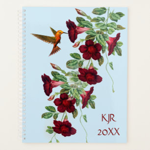 Agenda Colibrí sobre las flores de Mandevillea
