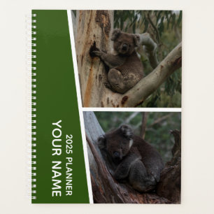 Agenda Collage de fotos Koala Australia, Verde 2025