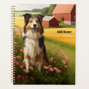 Agenda Collie estándar en la granja