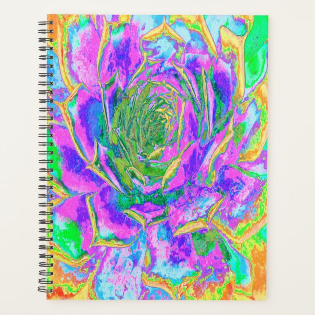 Agenda Colores arcoiris Fiesta Suculento Sedum Rosette (Anverso)