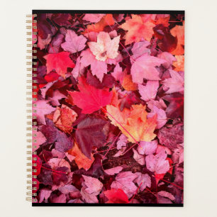 Agenda Coloridas hojas otoñales
