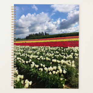 Agenda Colorido Tulip Field, Oregón