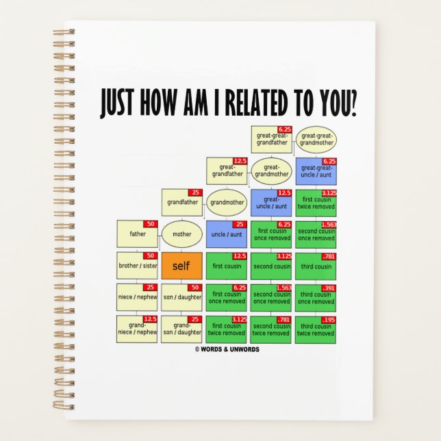 Agenda ¿Cómo Estoy Relacionado Contigo? Genealogía (Anverso)