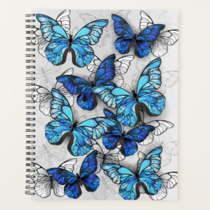 Agenda Composición de las mariposas blancas y azules