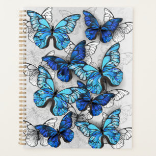 Agenda Composición de las mariposas blancas y azules