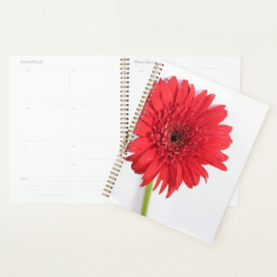 Agenda Comprimidos de crisantemo rojo Flor Floral