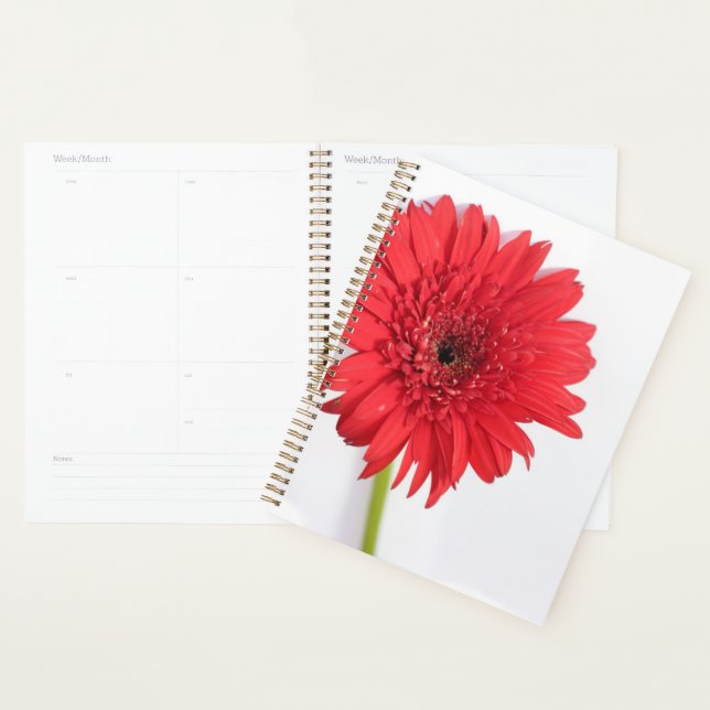 Agenda Comprimidos de crisantemo rojo Flor Floral (Demostración)