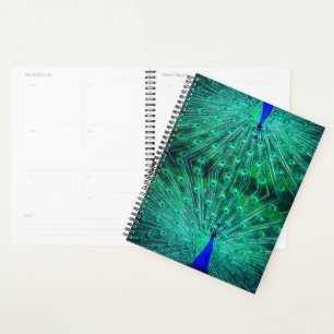 Agenda con un bonito verde, azul y turquesa