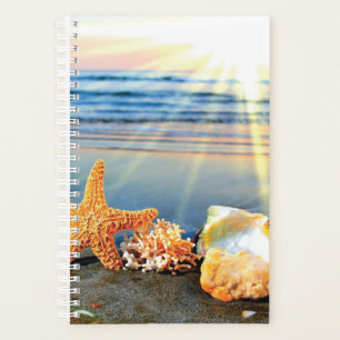 Agenda conchas de mar y estrellas de mar en la playa